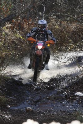 _MG_8488.jpg
