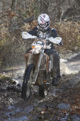 _MG_8501.jpg