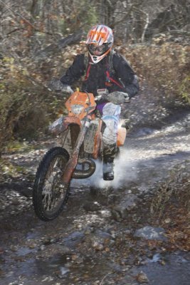 _MG_8509.jpg