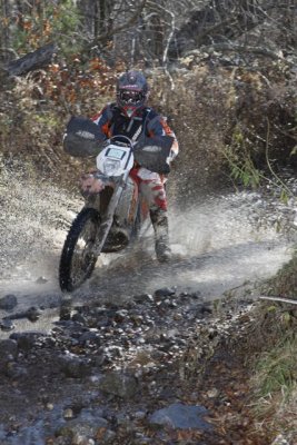 _MG_8515.jpg