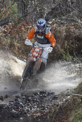 _MG_8516.jpg