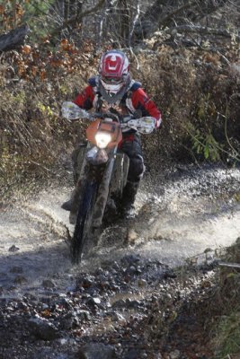 _MG_8520.jpg