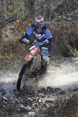 _MG_8523.jpg