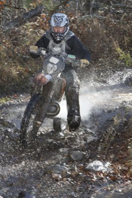 _MG_8528.jpg