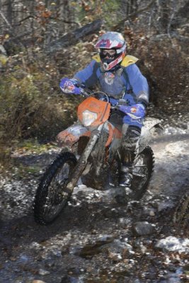 _MG_8529.jpg