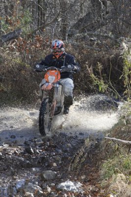 _MG_8531.jpg