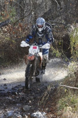 _MG_8532.jpg
