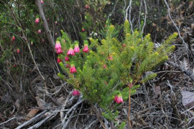 Stirling Range National Park