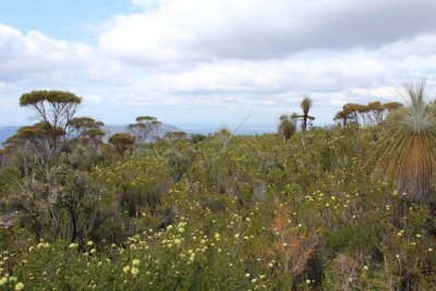 Stirling Range National Park