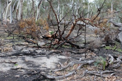 Brookton Hwy Nature Reserve