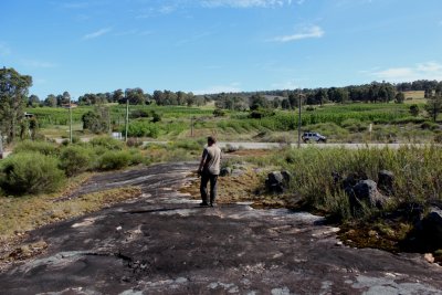 Rock outcrop