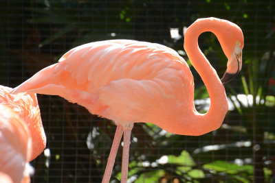 DSC_5848.jpg