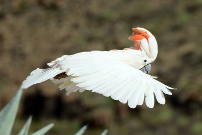 DSC_5904.jpg