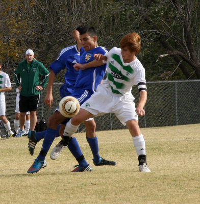 c.IMG_6433.jpg