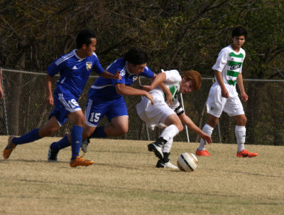 c.IMG_6456.jpg
