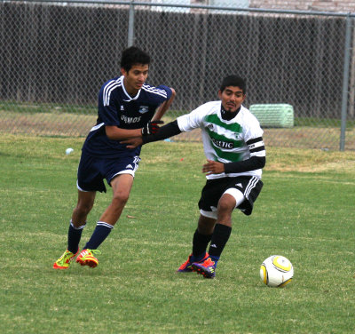 c.IMG_6576.jpg