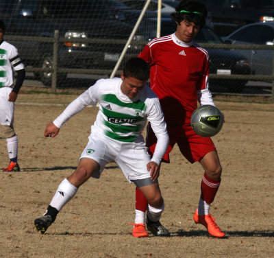 c.IMG_6819.jpg