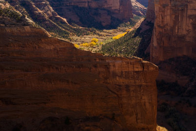 Canyon del Muerto, Canyon de Chelly Nat. Mon