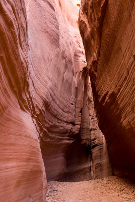 Side Canyon on the Paria