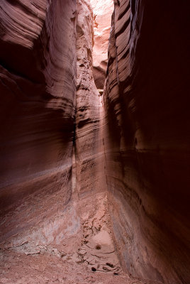 Side Canyon on the Paria