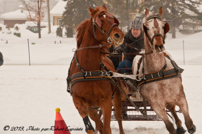 DSC_6724.jpg