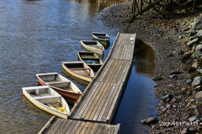Perkins Cove
