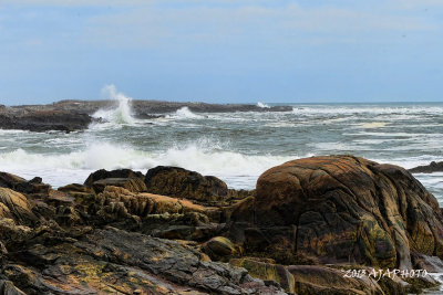 Walkers Point