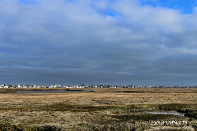 Wells Beach