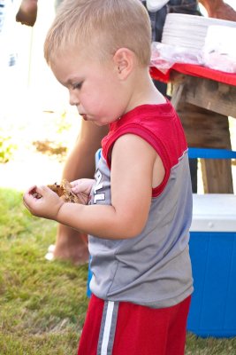 Jensen studying the broken chocolate chip cookie
