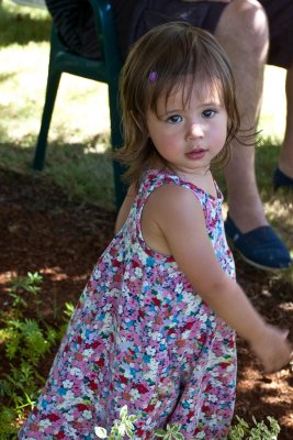 Lea Toland (3rd gen.)