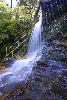 Weeping Rock (2)