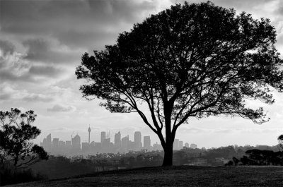 Sydney from Bradley Head.jpg
