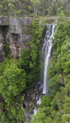 Unknown Waterfall in Fitzroy Falls