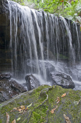 Little Falls
