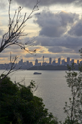 Sydney from South Head