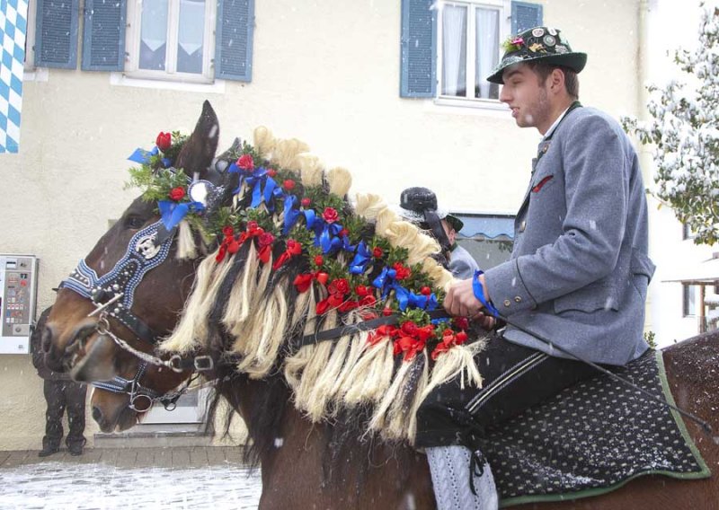 Mane Colours 5932.jpg