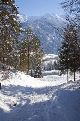 Snowy Path 7612.jpg