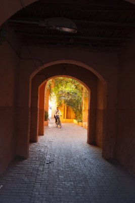 Arch Bike 8072.jpg