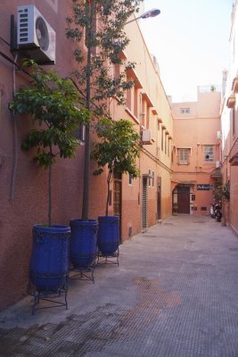 Blue Pots 8067.jpg