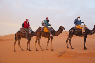 Family Camel Ride 8430.jpg