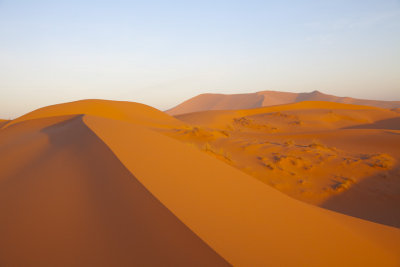 Desert Dunes 8491.jpg
