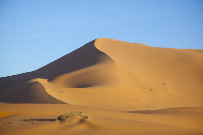 Desert Dunes 8497.jpg
