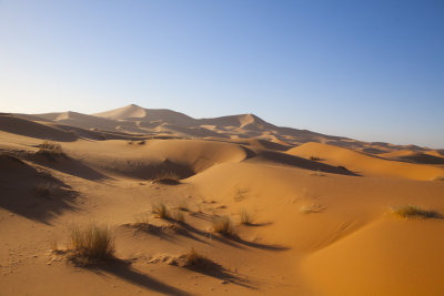 Desert Dunes 8505.jpg
