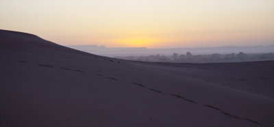 Desert Sunrise 8464.jpg