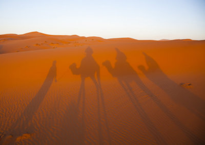DesertShadow Crop 8480.jpg