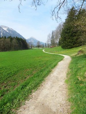 Path 2307.jpg