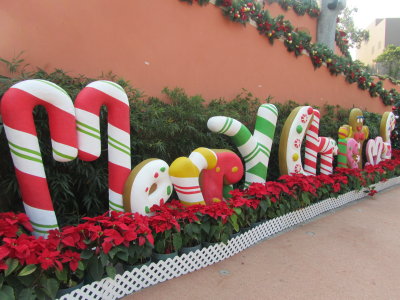 Ocean Park