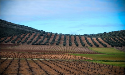 Castile La Mancha