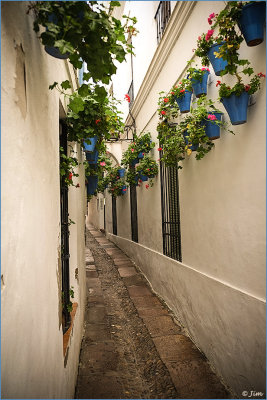 The Street Of Flowers
