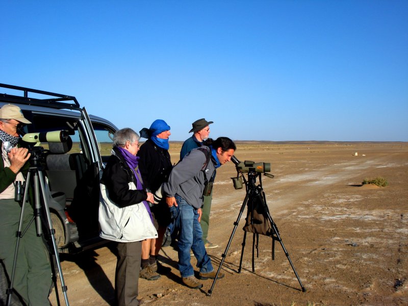 The group - View of the Desert - Landscape